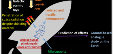 Spaceflight environmental effects on the human physiology