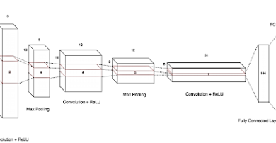 Spectral Discrimination and Separability Analysis of Crops and Weeds using Deep Learning Techniques