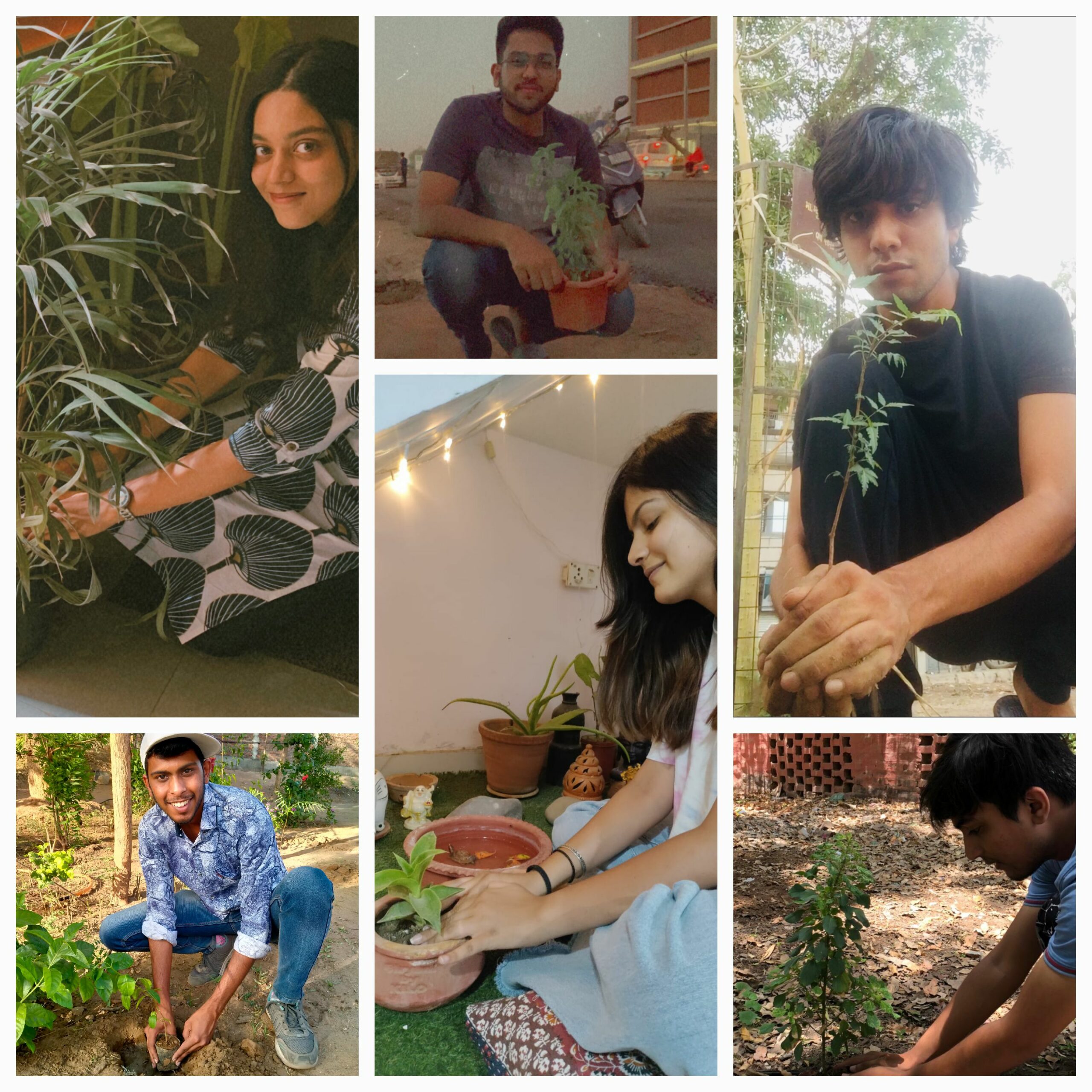 World Environment Day Celebrations At Icnu Institute Of Commerce