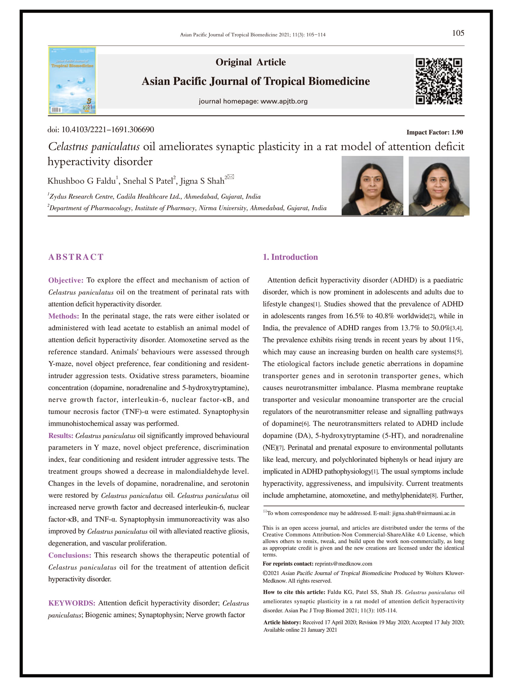 Celastrus paniculatus oil ameliorates synaptic plasticity in a rat model of attention deficit hyperactivity disorder